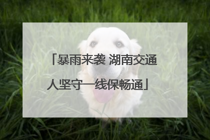 暴雨来袭 湖南交通人坚守一线保畅通